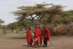 8150615-africa-tanzania-il-5-marzo-2009-villaggio-masai-un-gruppo-maasai-uomini-savana-un-sole-splendente