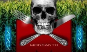 monsanto il diavolo