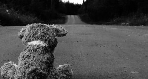 road-sad-teddy-bear-17347