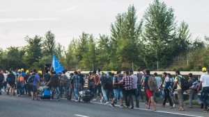 refugee_march_hungary_2015-09-04_02